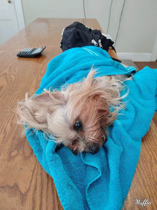 Marks Animal Hospital, LLC 4