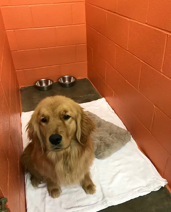 Cheaha Animal Hospital 12