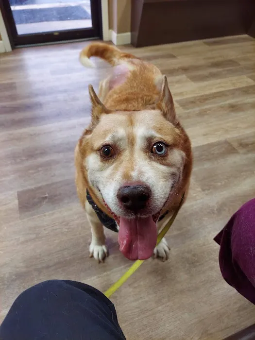 Cheaha Animal Hospital 12
