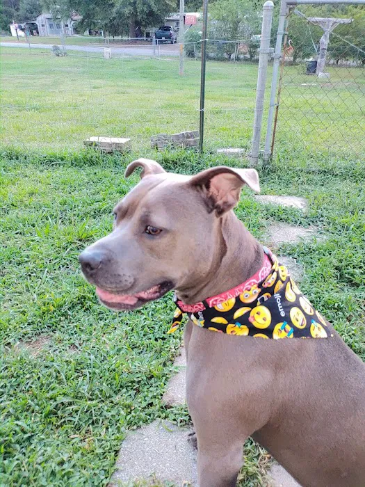 Greenbrier Animal Clinic 12