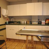 VCA Animal Medical Center of NE Alabama ico