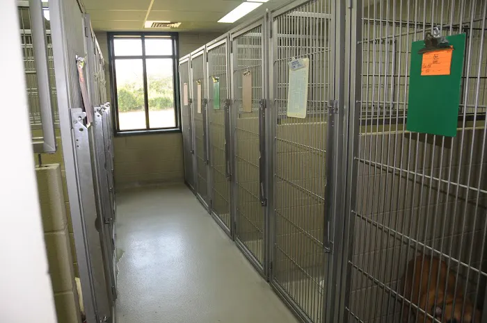 VCA Animal Medical Center of NE Alabama 6