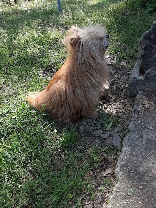 VCA Animal Medical Center of NE Alabama 8