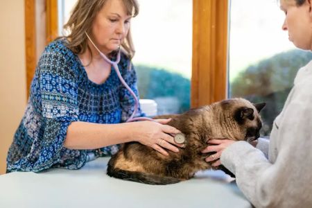Clanton Animal Hospital LLC