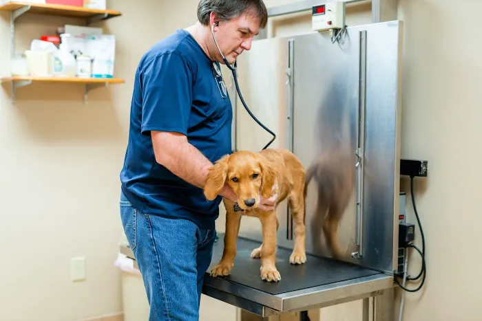 Clanton Animal Hospital LLC 12
