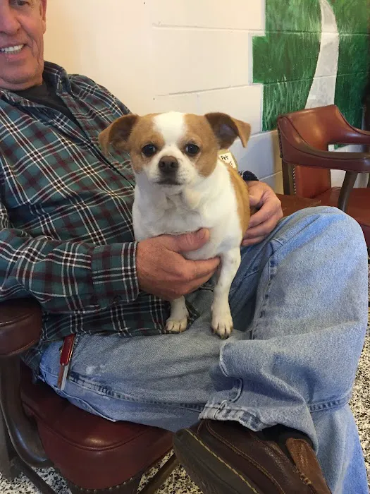 Town and Country Veterinary Hospital - Animal Care Associates 9