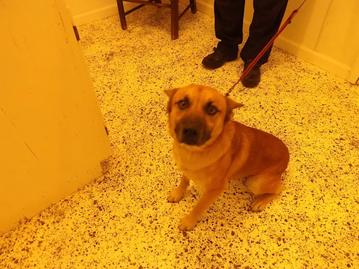 Town and Country Veterinary Hospital - Animal Care Associates 5