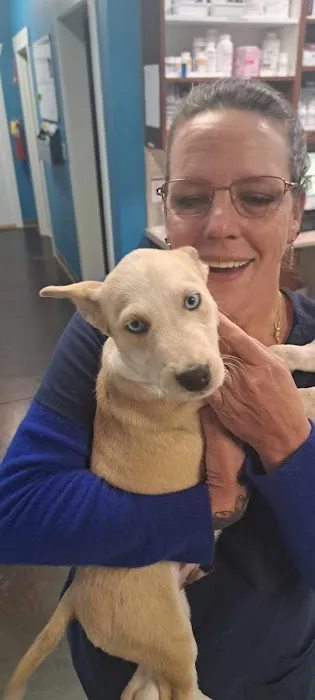 Pickens Animal Rescue Veterinary Hospital 2