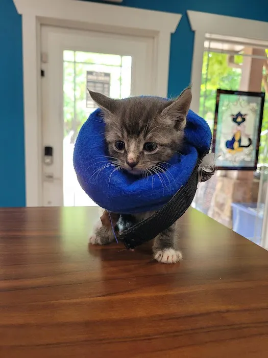 Pickens Animal Rescue Veterinary Hospital 1