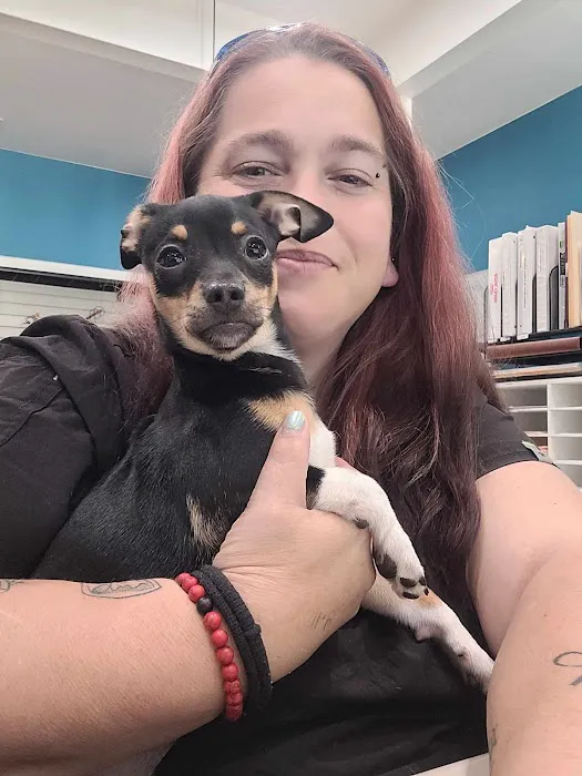 Pickens Animal Rescue Veterinary Hospital 3