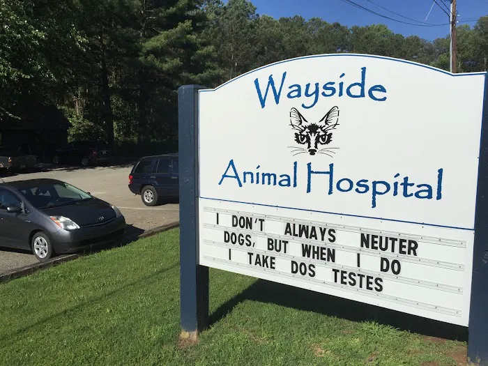 Wayside Animal Hospital 7