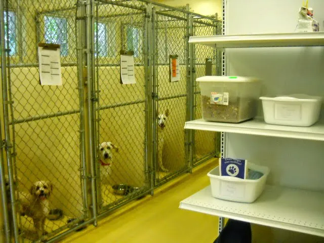 Wayside Animal Hospital 6