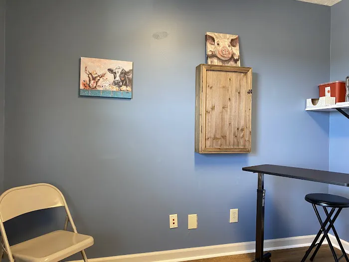 Animal Medical Clinic 4