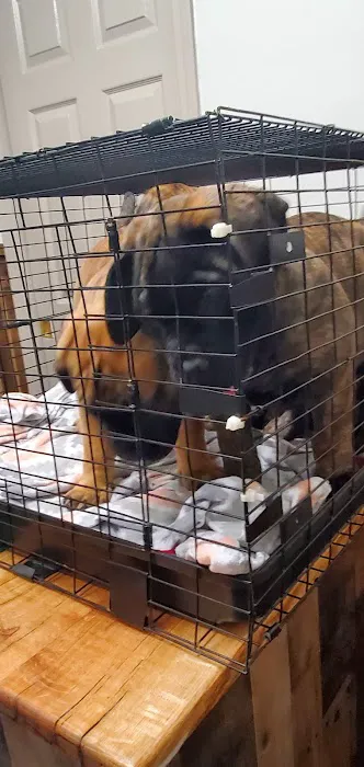 Animal Medical Clinic 1