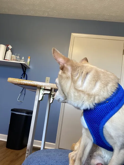 Animal Medical Clinic 3