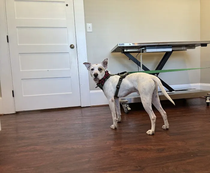 Waleska Animal Hospital 10