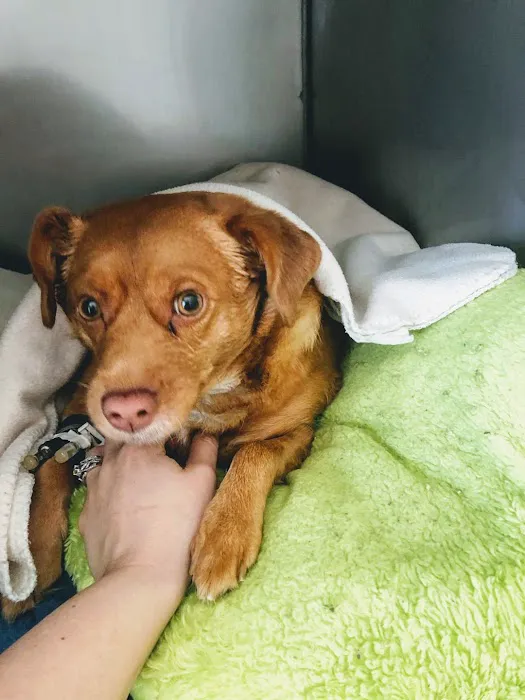 Waleska Animal Hospital 3