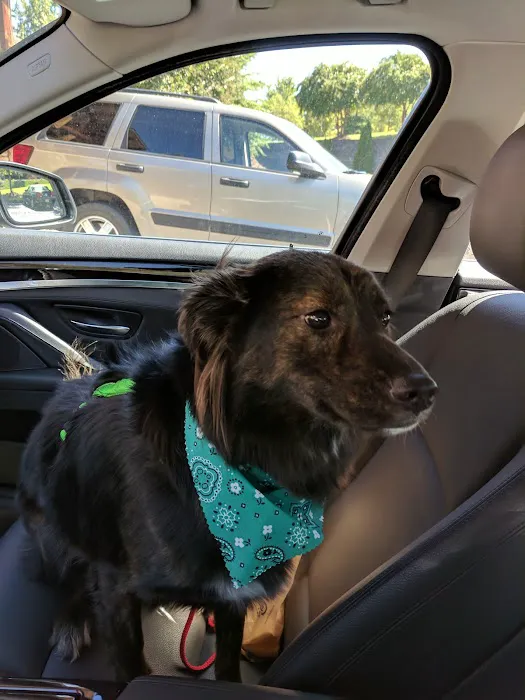 Best Friend Veterinary & Pet Lodge 4