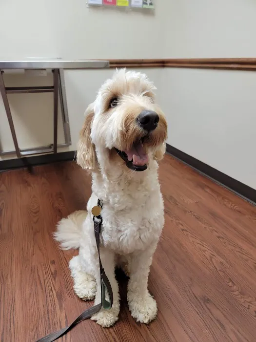 Chateau Animal Hospital 12