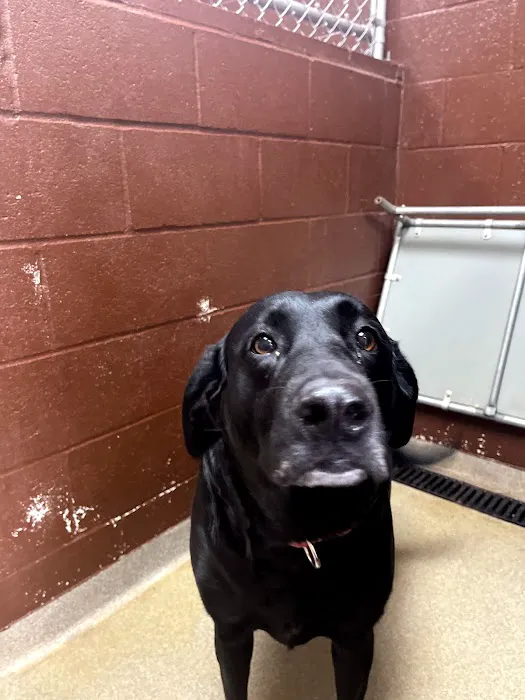 Hoschton Animal Hospital 5