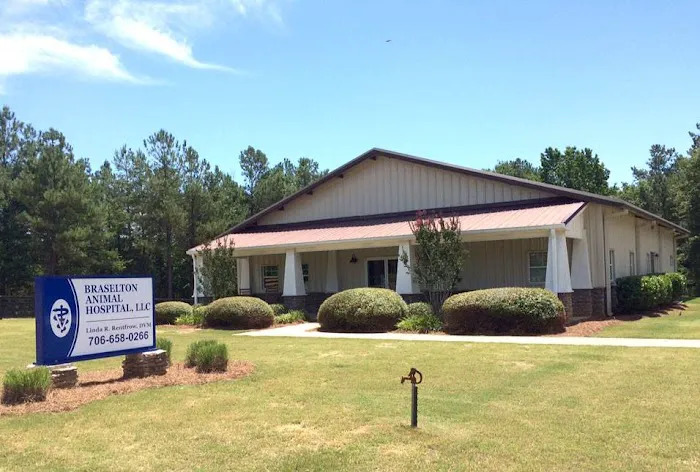 Braselton Animal Hospital 12