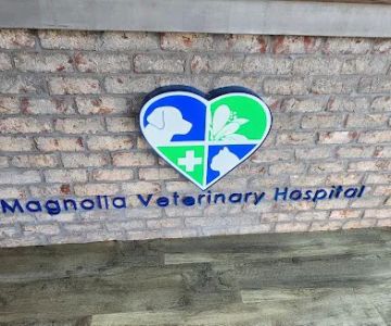 Magnolia Veterinary Hospital