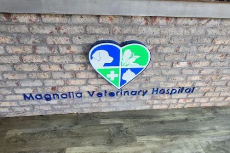 Magnolia Veterinary Hospital