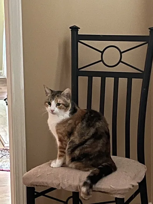Magnolia Veterinary Hospital 12