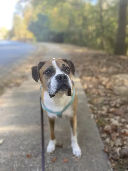 Magnolia Veterinary Hospital 12