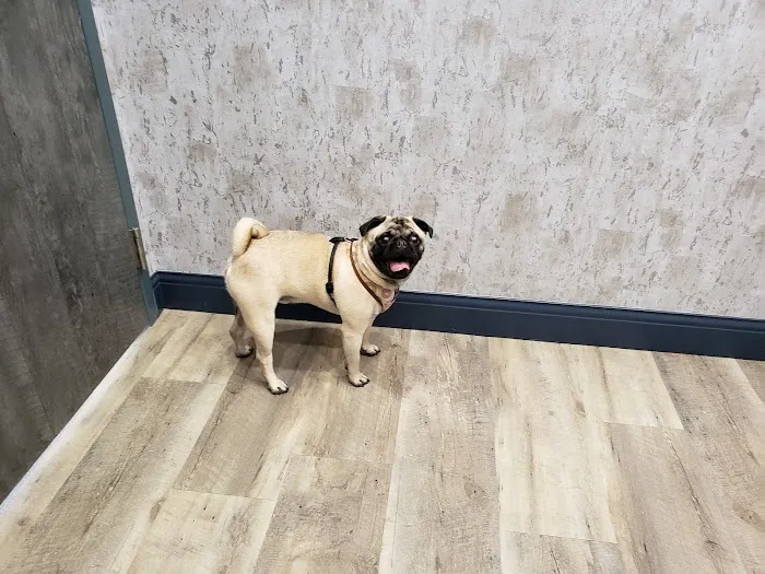 Magnolia Veterinary Hospital 12
