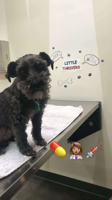 Vetco Total Care Animal Hospital 5