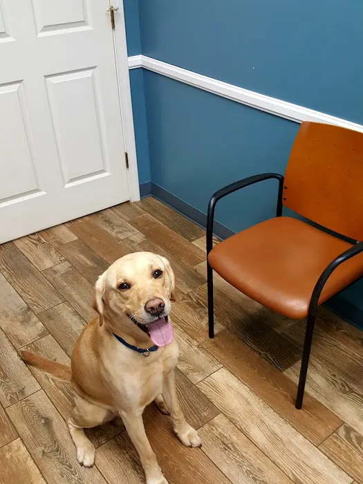 Birkdale Animal Hospital 2
