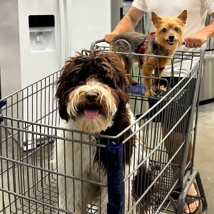 Birkdale Animal Hospital 10