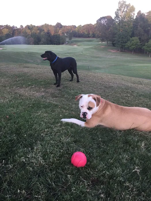 Birkdale Animal Hospital 7