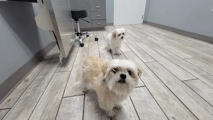 Harbor Point Animal Hospital 7