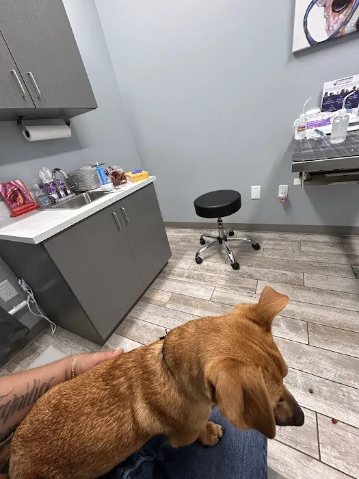 Harbor Point Animal Hospital 2