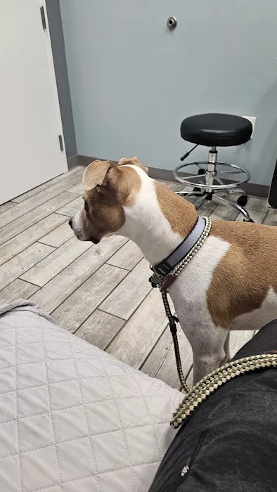 Harbor Point Animal Hospital 5