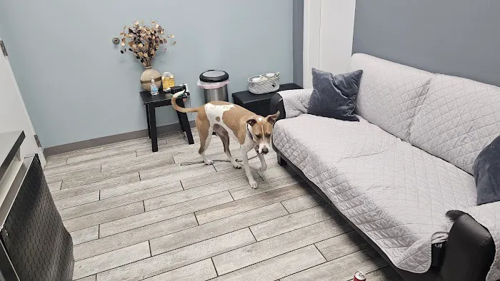 Harbor Point Animal Hospital 1