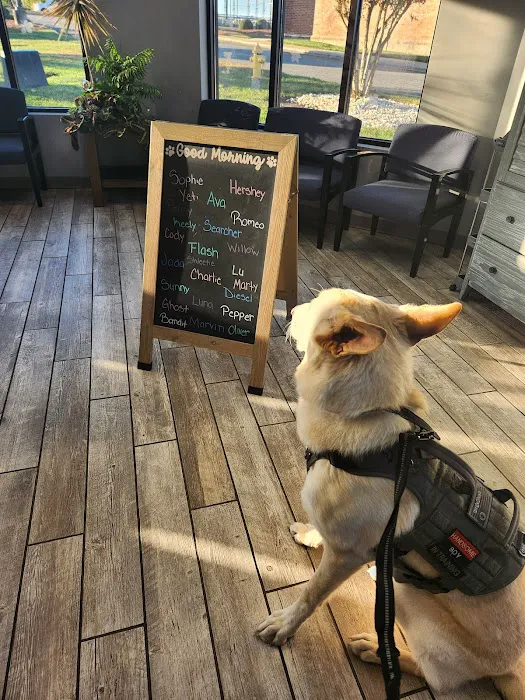 Harbor Point Animal Hospital 9