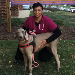 Brawley Animal Hospital 4
