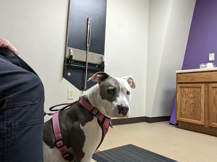 Brawley Animal Hospital 1