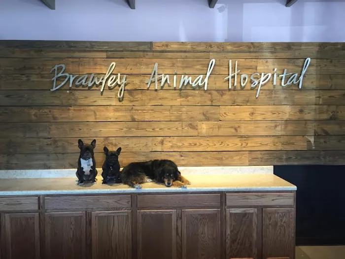 Brawley Animal Hospital 8