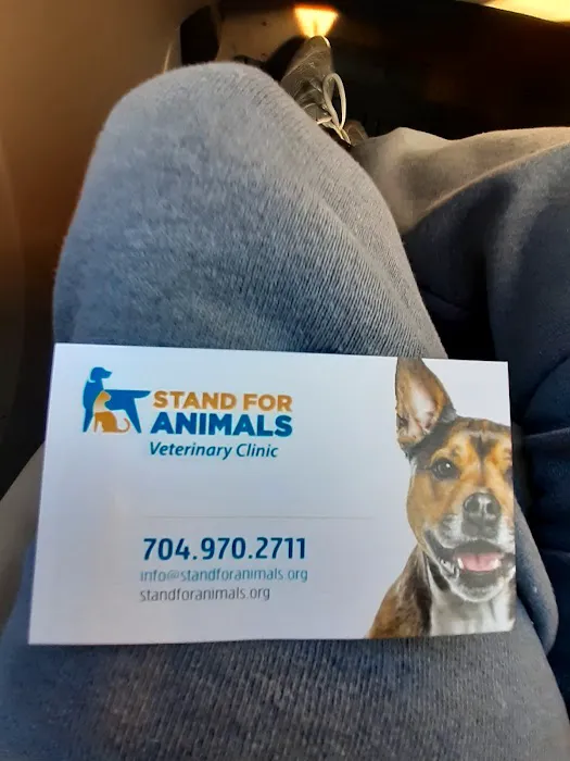 Stand For Animals Veterinary Clinic 5