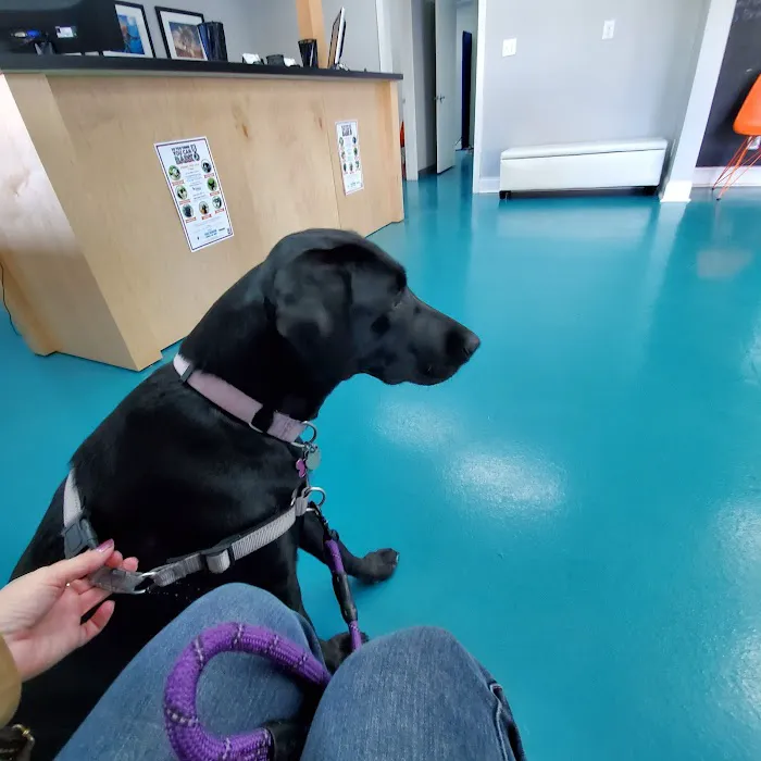 Stand For Animals Veterinary Clinic 8