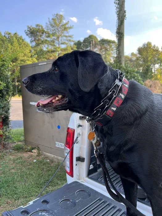 Banfield Pet Hospital 2