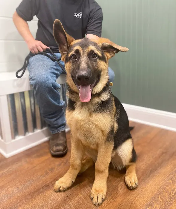 Plaza Animal Hospital 10