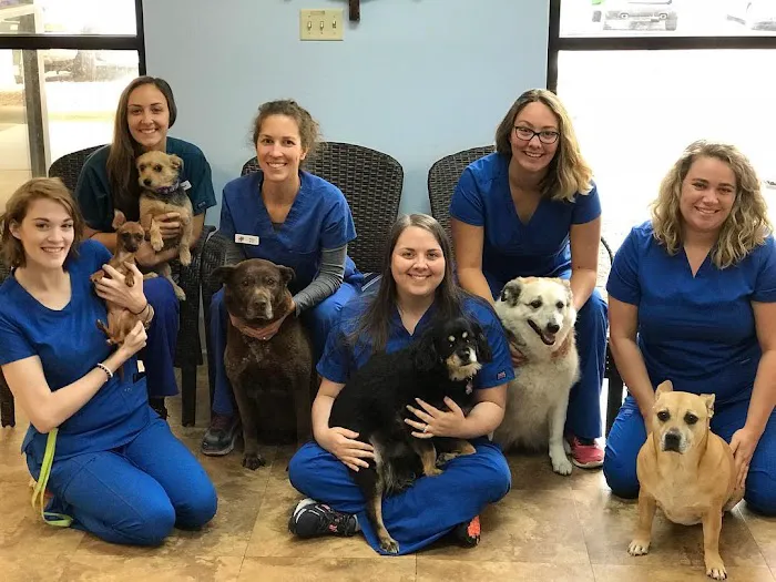 Village Animal Hospital 1