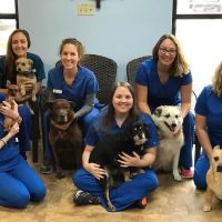Village Animal Hospital ico