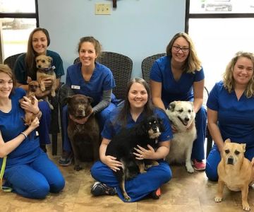 Village Animal Hospital