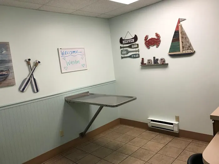 Village Animal Hospital 2